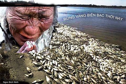 Image result for cá chết formosa